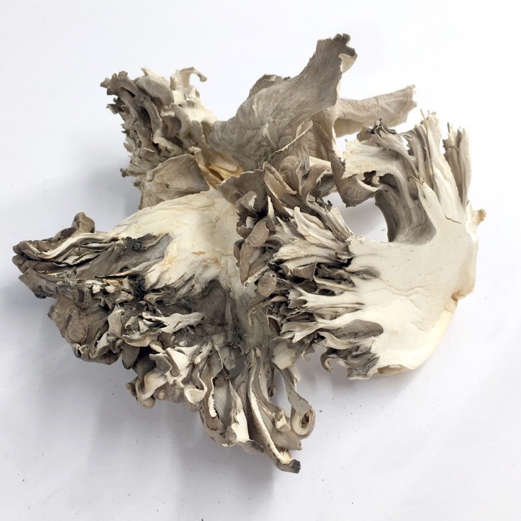 Dried maitake mushroom.jpg